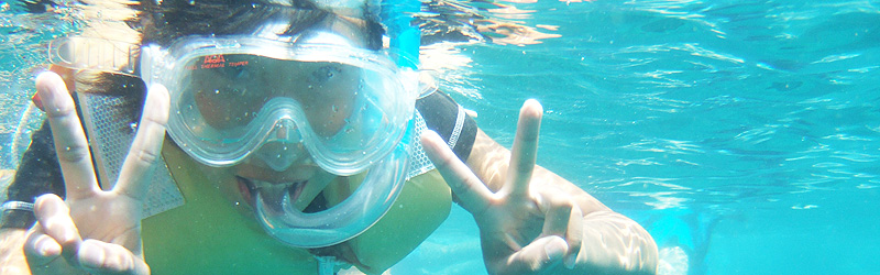 徳島県立牟岐少年自然の家　予約状況