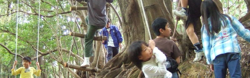 徳島県立牟岐少年自然 フォトアルバム/写真